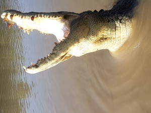 .... Aber baden nirgendwo möglich!!!!