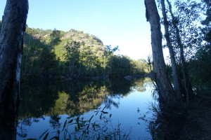 Crocodile land