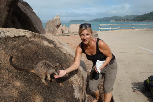 Rock wallaby, ein