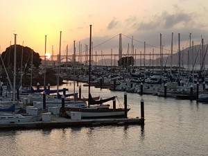 IMG-20160913-WA0007